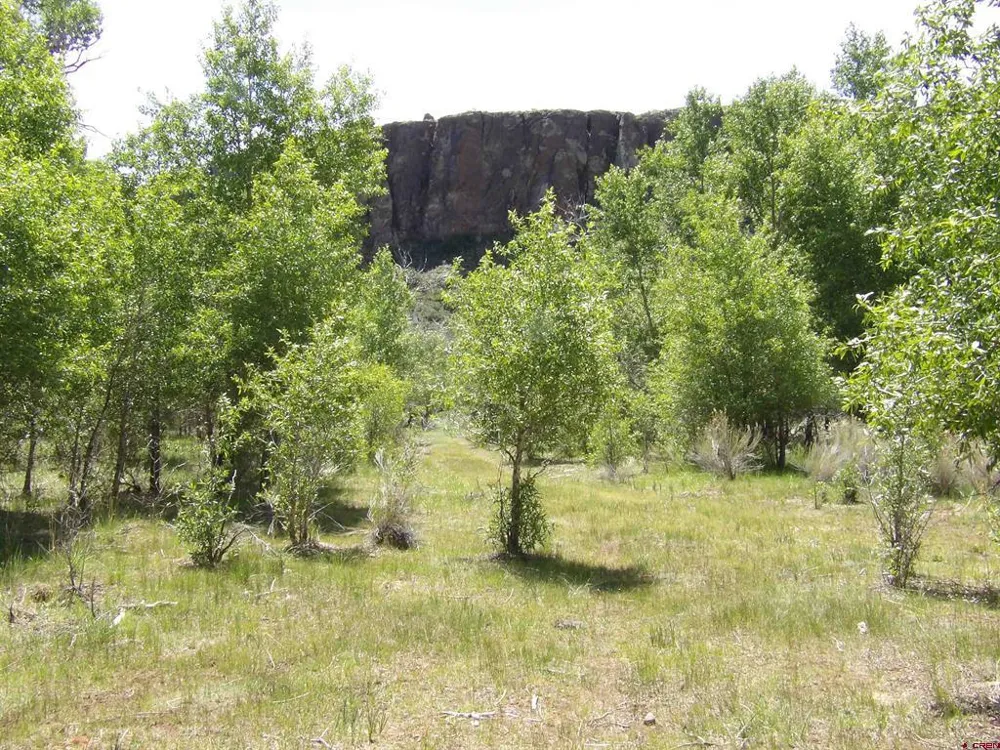 Alamosa Canyon River Land Capulin, CO 81124
