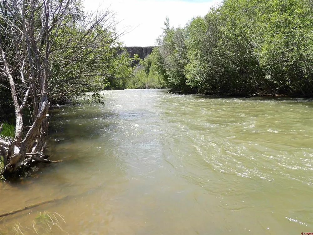 Alamosa Canyon River Land Capulin, CO 81124