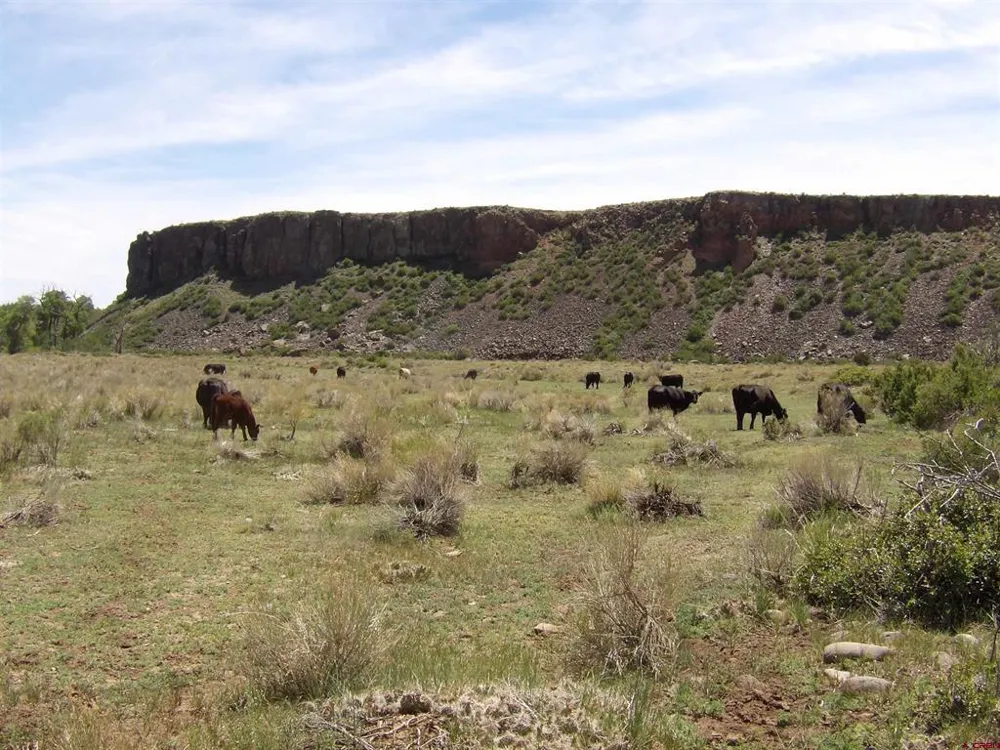 Alamosa Canyon River Land Capulin, CO 81124