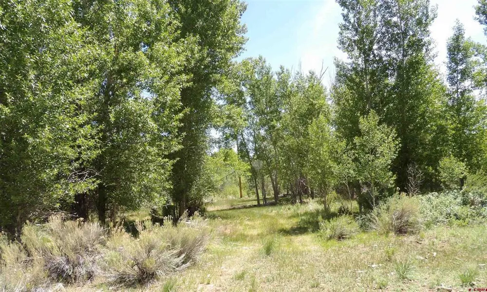 Alamosa Canyon River Land Capulin, CO 81124