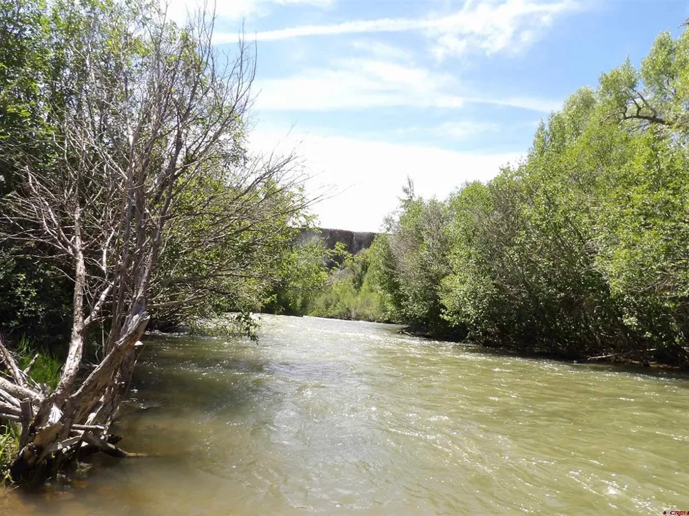 Alamosa Canyon River Land Capulin, CO 81124