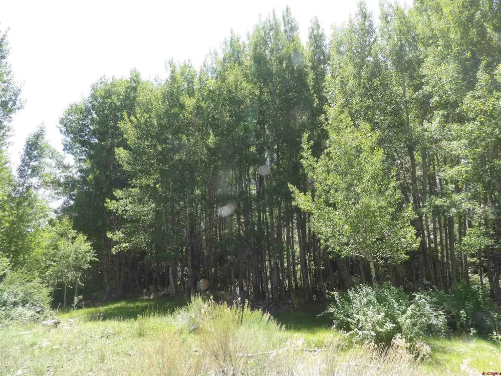 Alamosa Canyon River Land Capulin, CO 81124