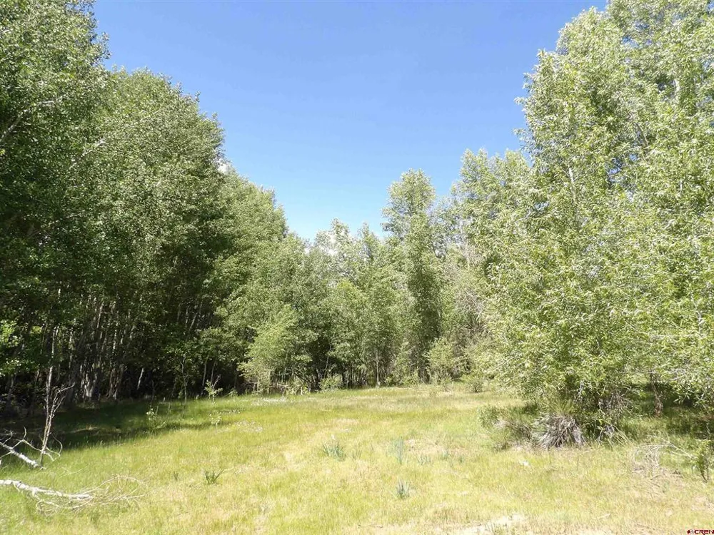 Alamosa Canyon River Land Capulin, CO 81124