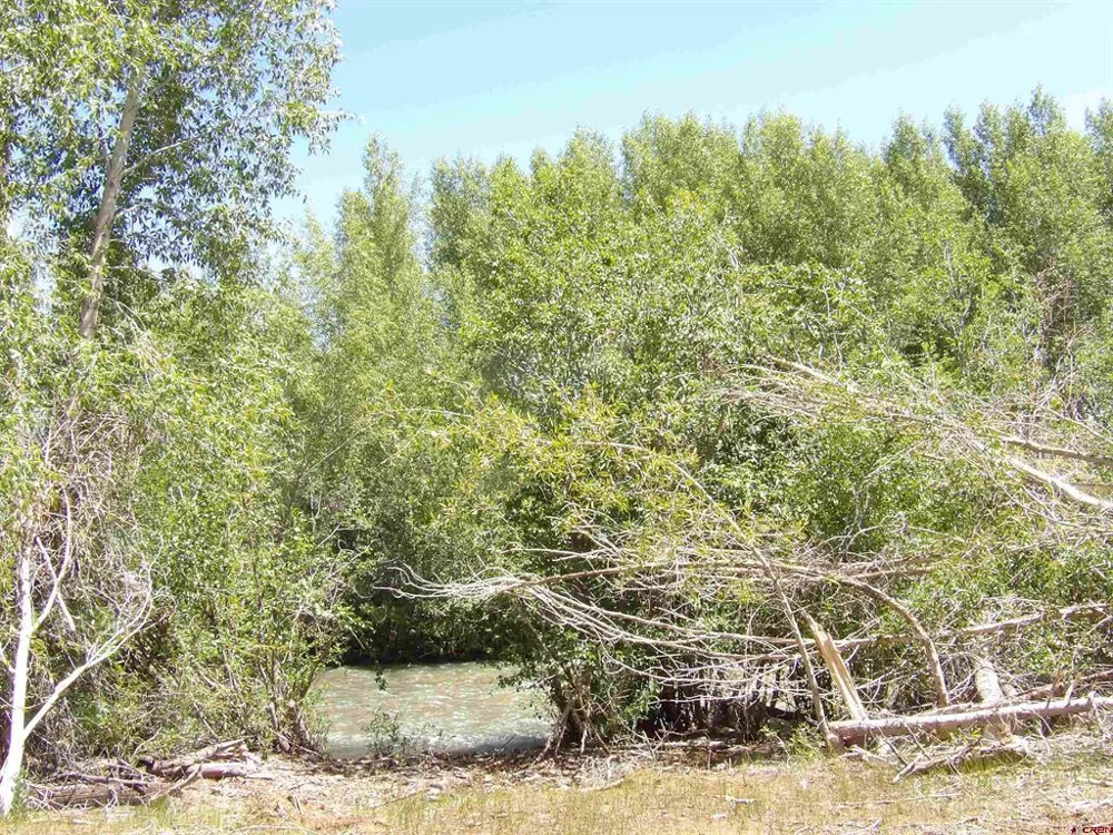 Alamosa Canyon River Land Capulin, CO 81124