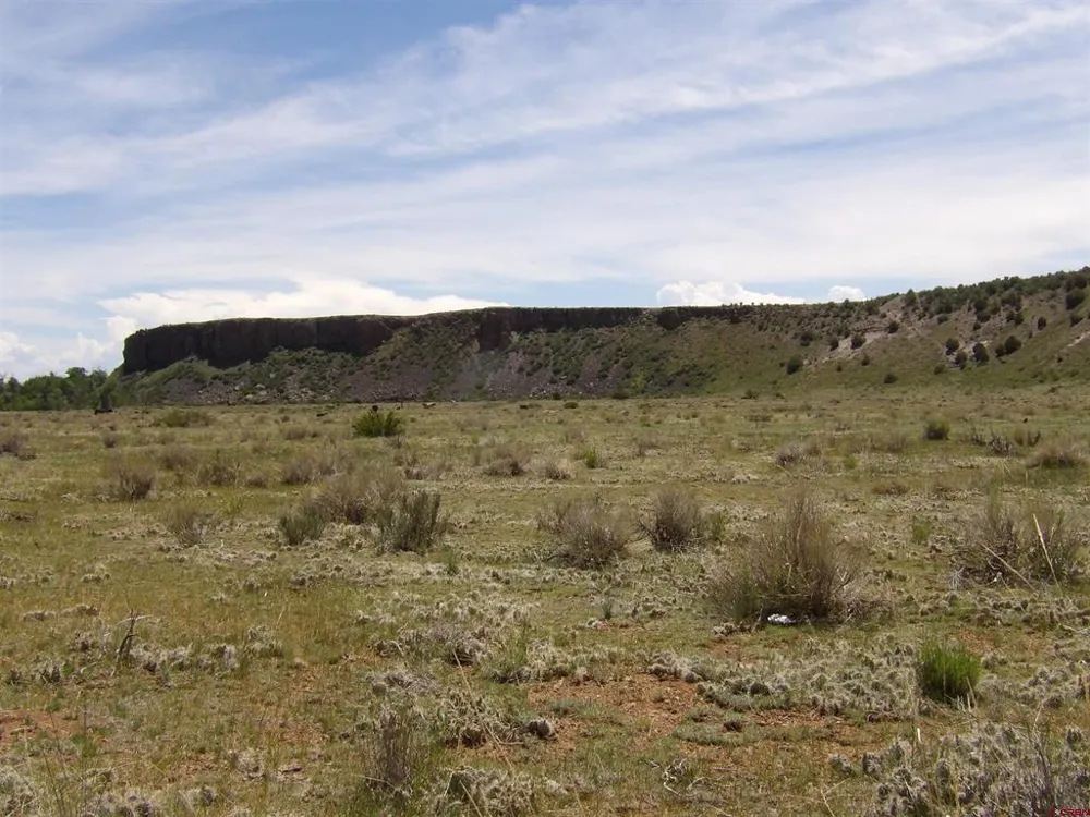 Alamosa Canyon River Land Capulin, CO 81124