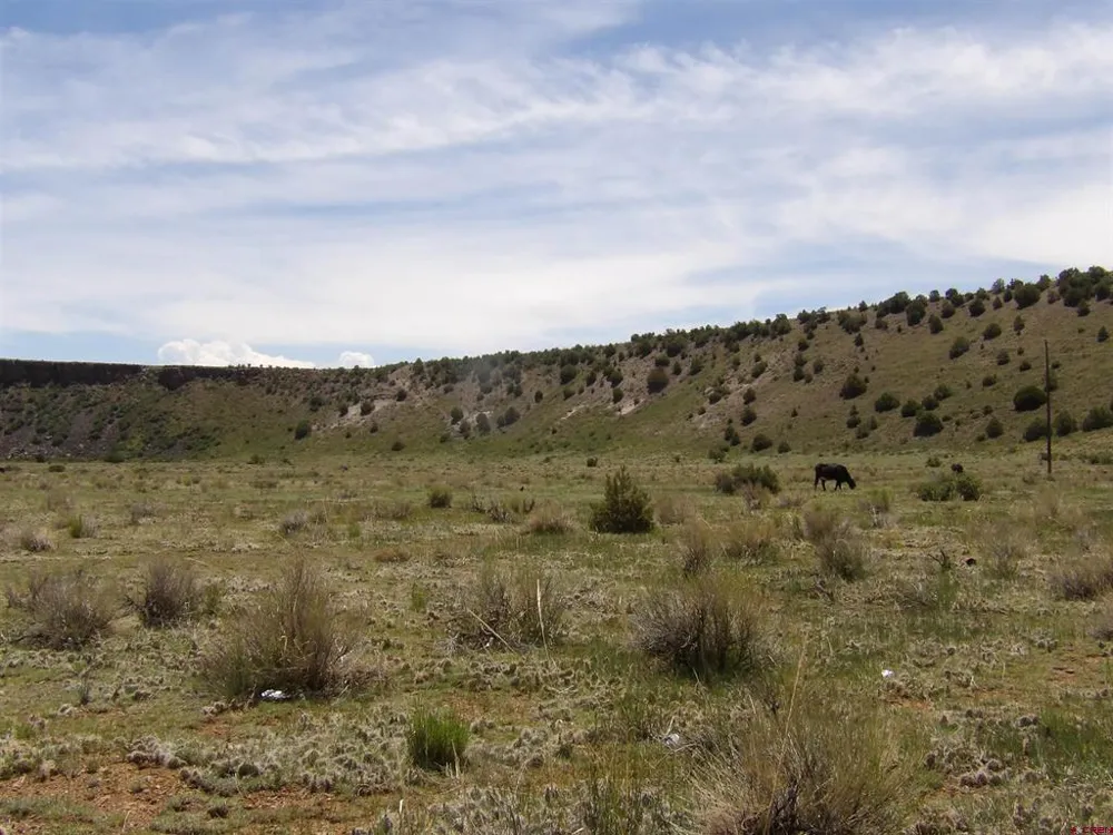 Alamosa Canyon River Land Capulin, CO 81124