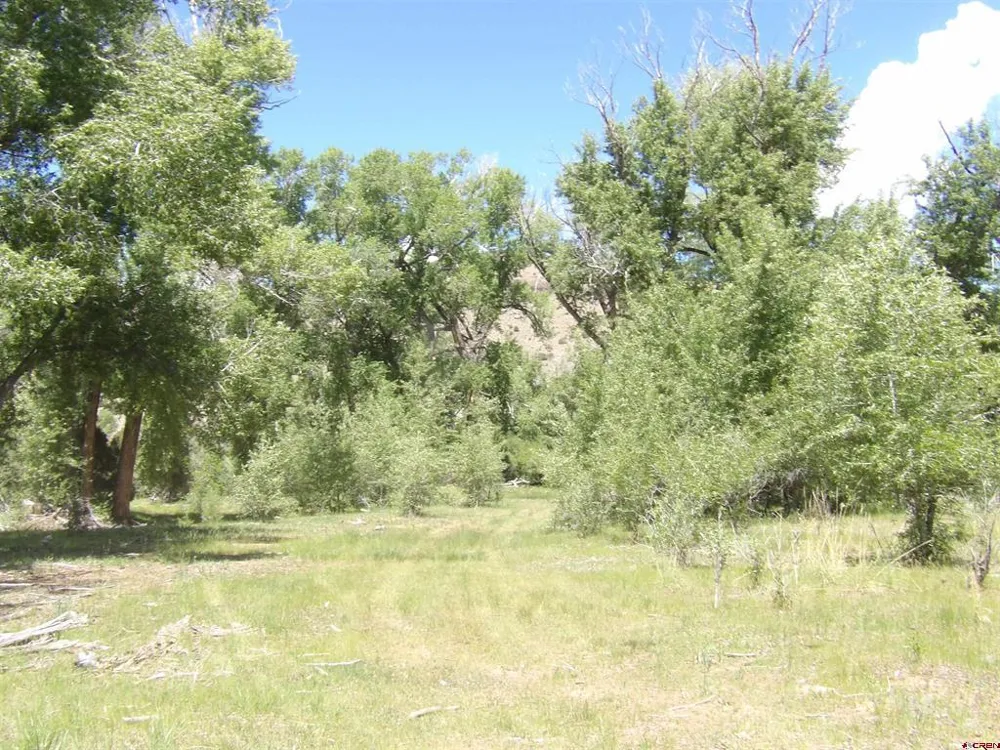 Alamosa Canyon River Land Capulin, CO 81124
