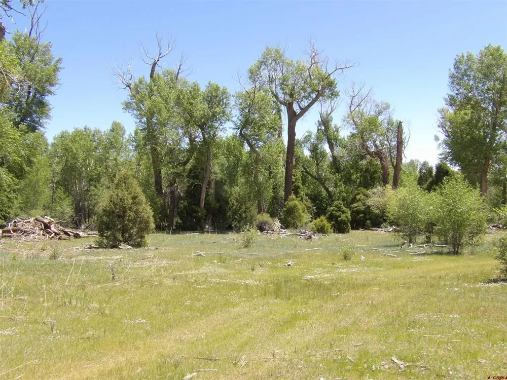 Alamosa Canyon River Land Capulin, CO 81124