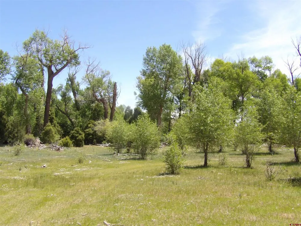 Alamosa Canyon River Land Capulin, CO 81124