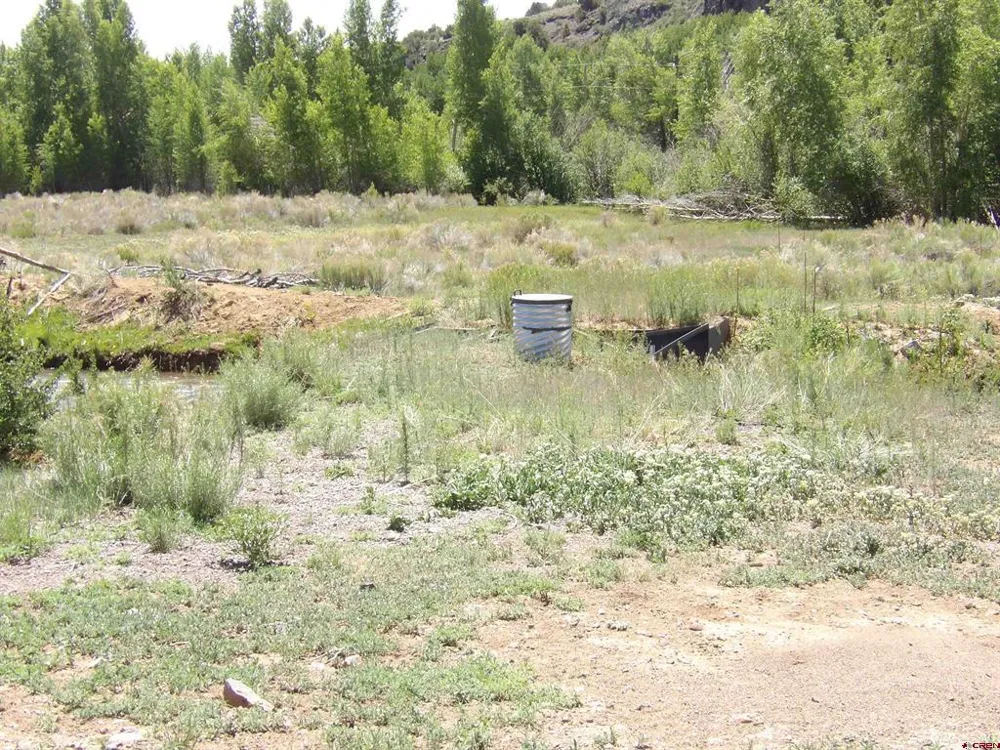 Alamosa Canyon River Land Capulin, CO 81124