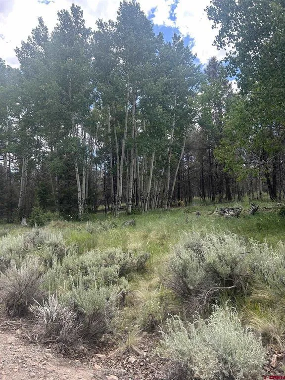 522 Monarch Rd. Powderhorn, CO 81243