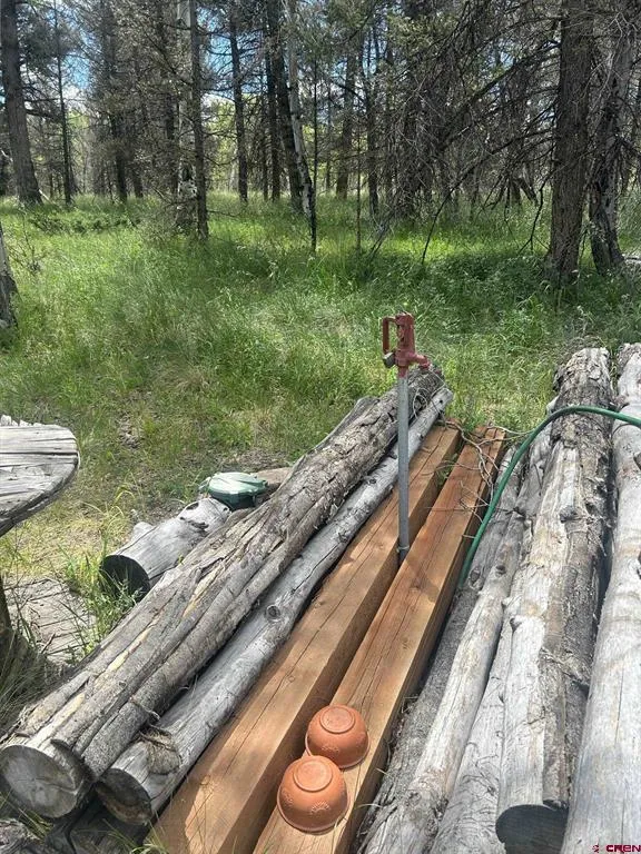 522 Monarch Rd. Powderhorn, CO 81243
