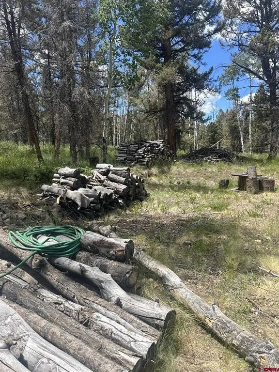 522 Monarch Rd. Powderhorn, CO 81243