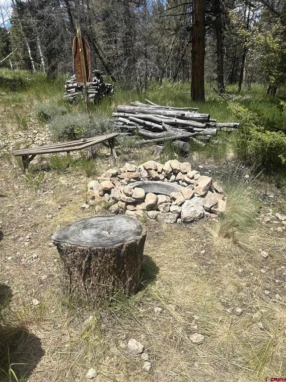 522 Monarch Rd. Powderhorn, CO 81243