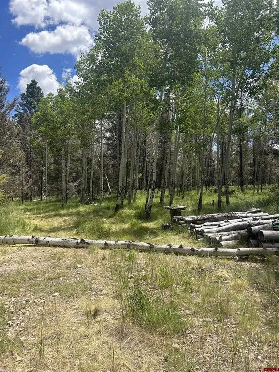 522 Monarch Rd. Powderhorn, CO 81243