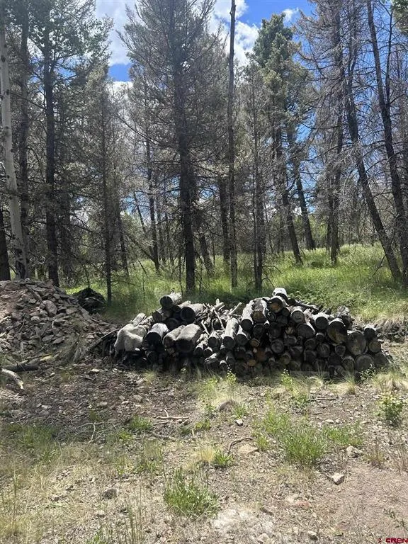 522 Monarch Rd. Powderhorn, CO 81243