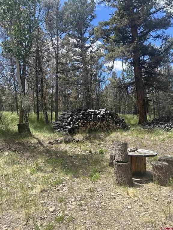 522 Monarch Rd. Powderhorn, CO 81243
