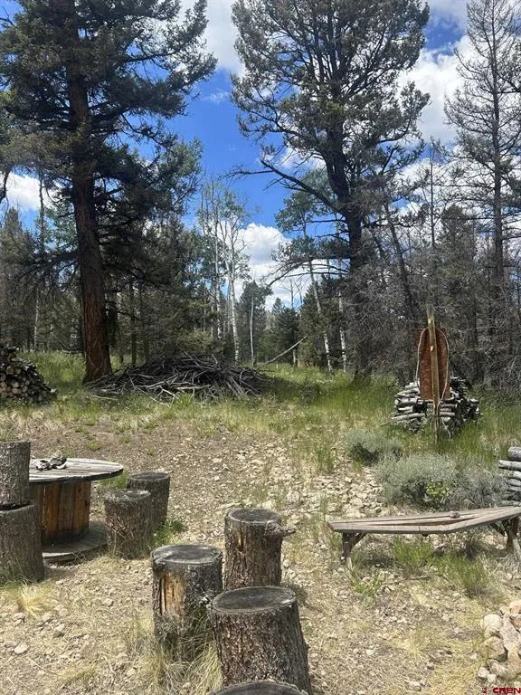 522 Monarch Rd. Powderhorn, CO 81243