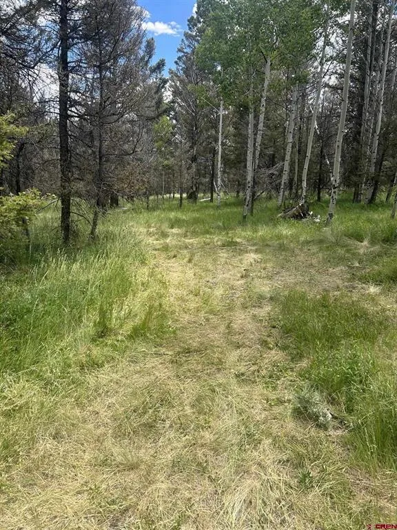 522 Monarch Rd. Powderhorn, CO 81243