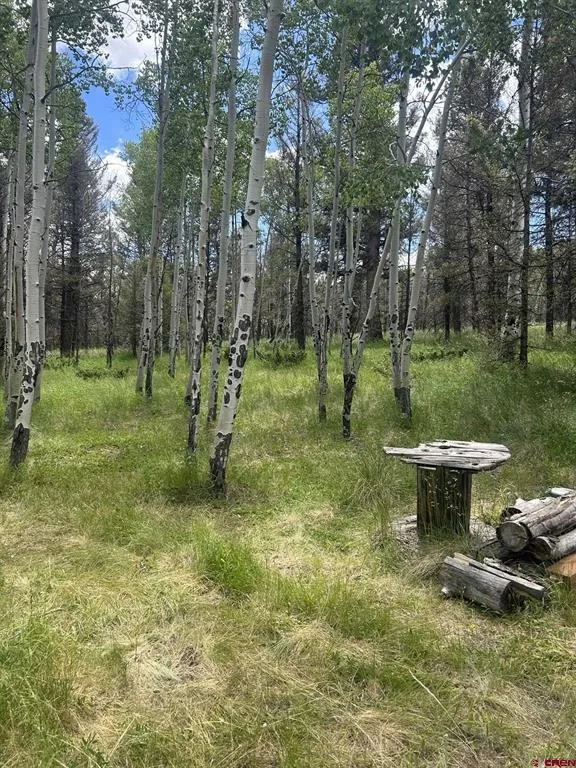 522 Monarch Rd. Powderhorn, CO 81243