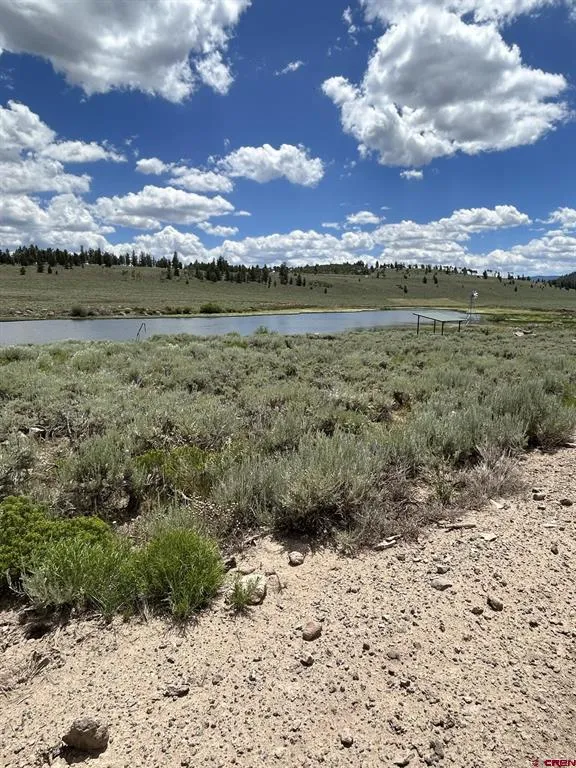 522 Monarch Rd. Powderhorn, CO 81243