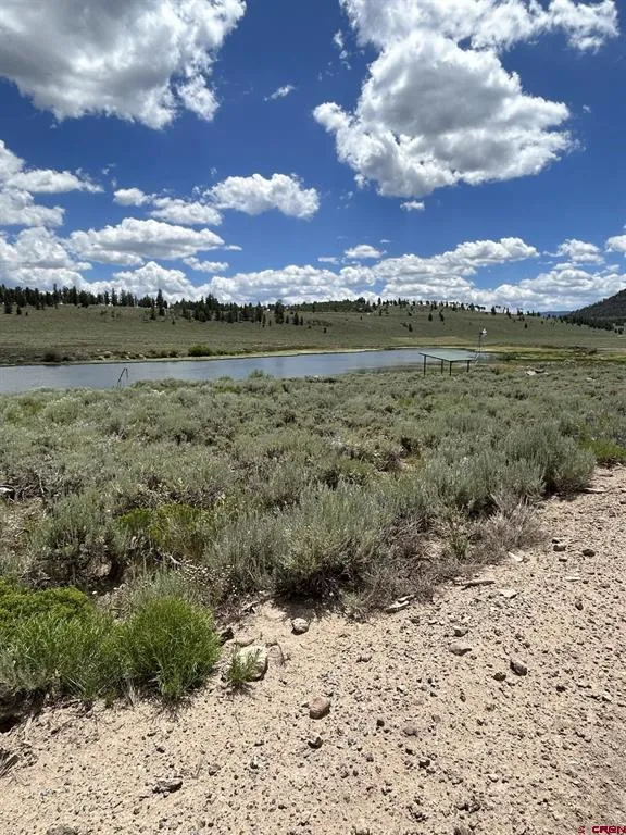 522 Monarch Rd. Powderhorn, CO 81243