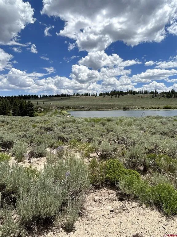 522 Monarch Rd. Powderhorn, CO 81243