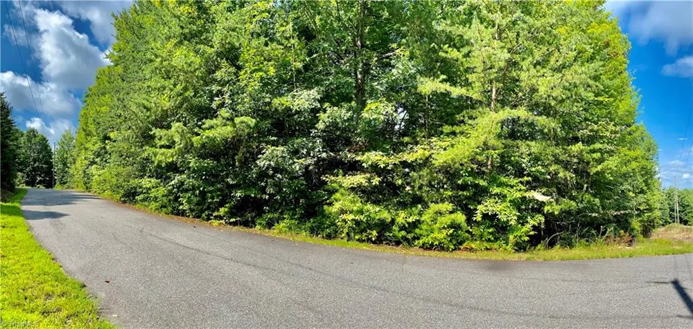 Lot 21 Rosebrier Road Boomer, NC 28606