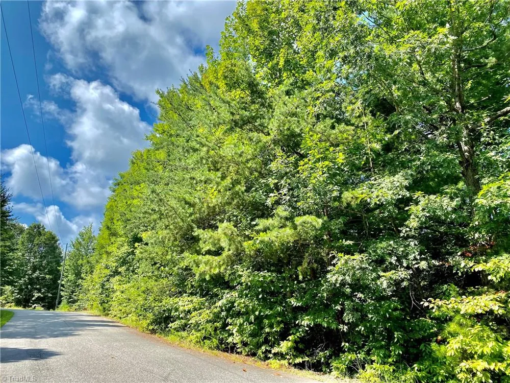 Lot 21 Rosebrier Road Boomer, NC 28606