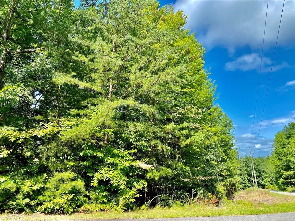 Lot 21 Rosebrier Road Boomer, NC 28606