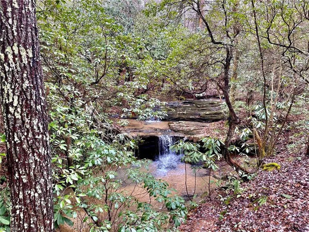 Lot 21 Rosebrier Road Boomer, NC 28606