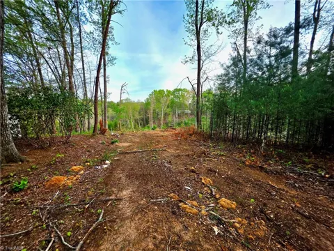 TBD Ruritan Park Road