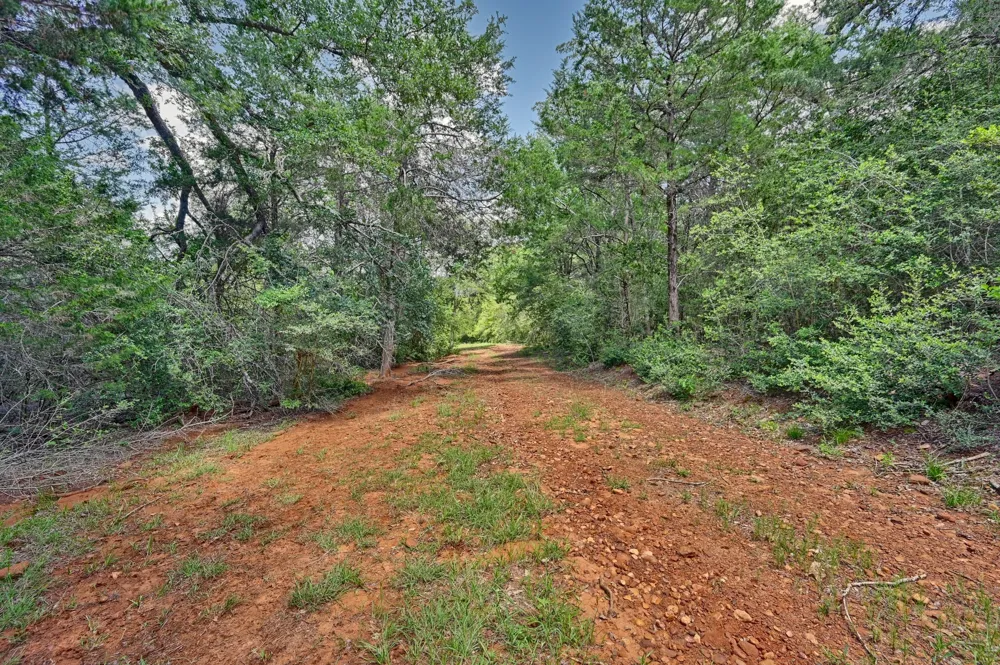 1368 County Road 207 Giddings, TX 78942
