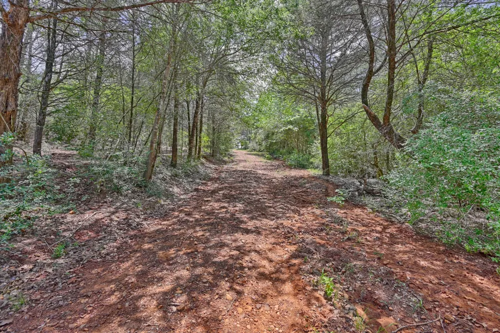 1368 County Road 207 Giddings, TX 78942