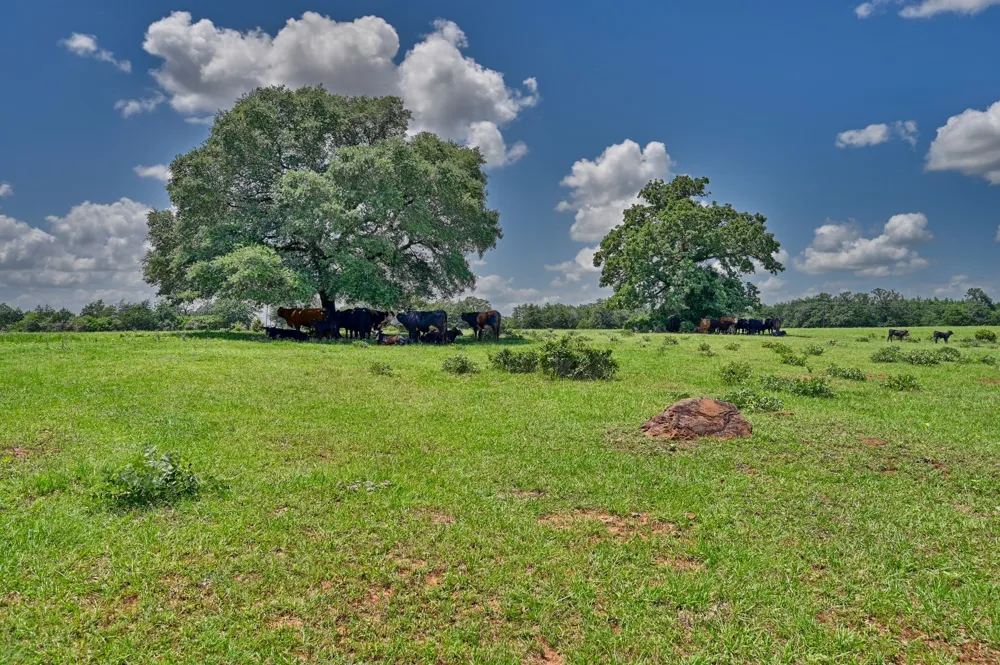 1368 County Road 207 Giddings, TX 78942
