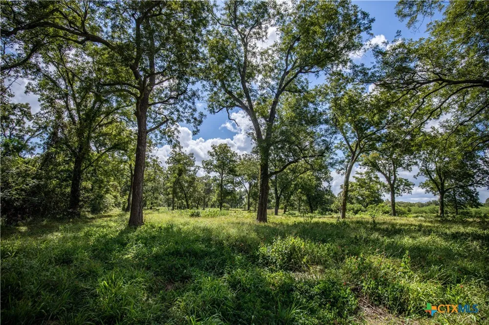 FM 766 Cuero, TX 77954