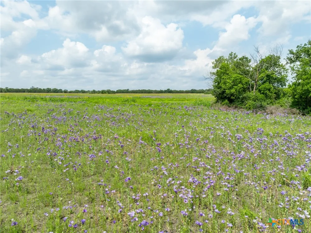 4 County Road 426 Evant, TX 76525