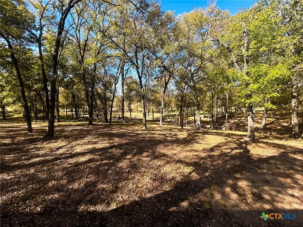 295 Goetz Rd Cameron, TX 76520