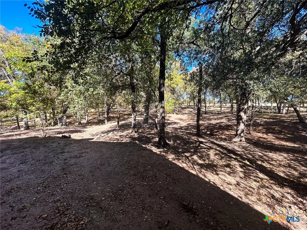295 Goetz Rd Cameron, TX 76520
