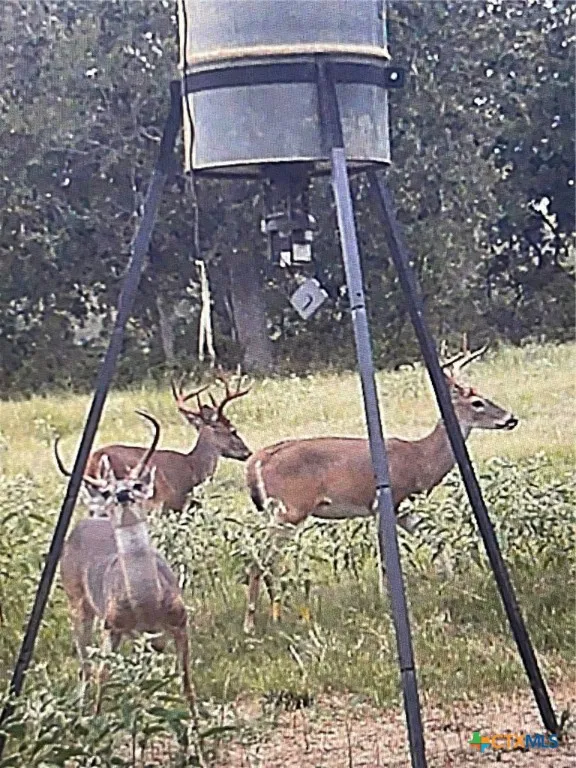 295 Goetz Rd Cameron, TX 76520