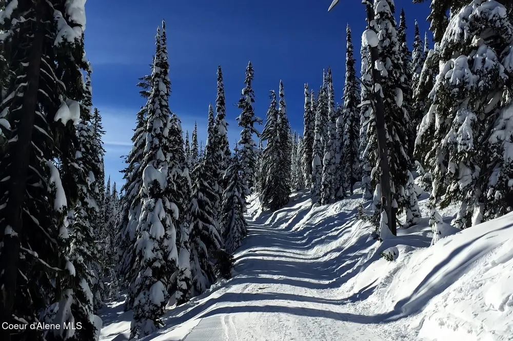 B1 L5 Tall Timber Sandpoint, ID 83864