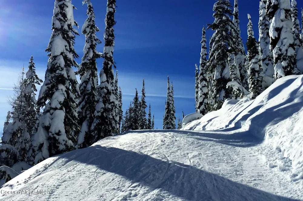 B1 L5 Tall Timber Sandpoint, ID 83864