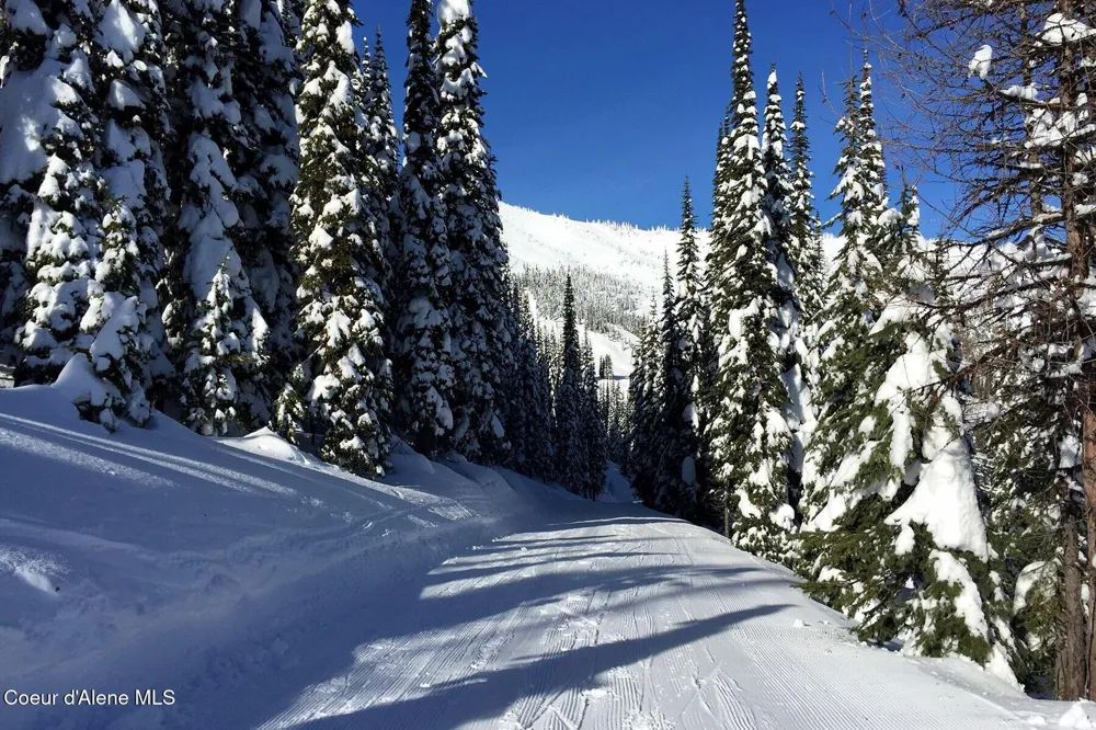 B1 L5 Tall Timber Sandpoint, ID 83864
