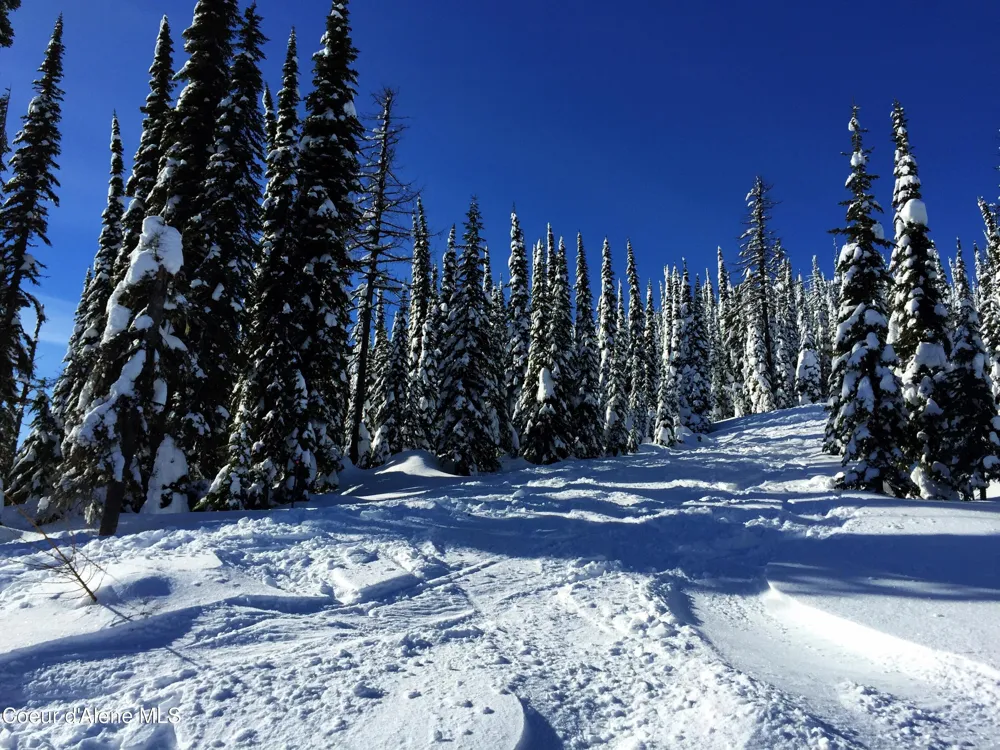 B1 L5 Tall Timber Sandpoint, ID 83864