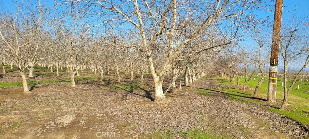 River Road Chico, CA 95973