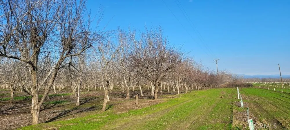 River Road Chico, CA 95973