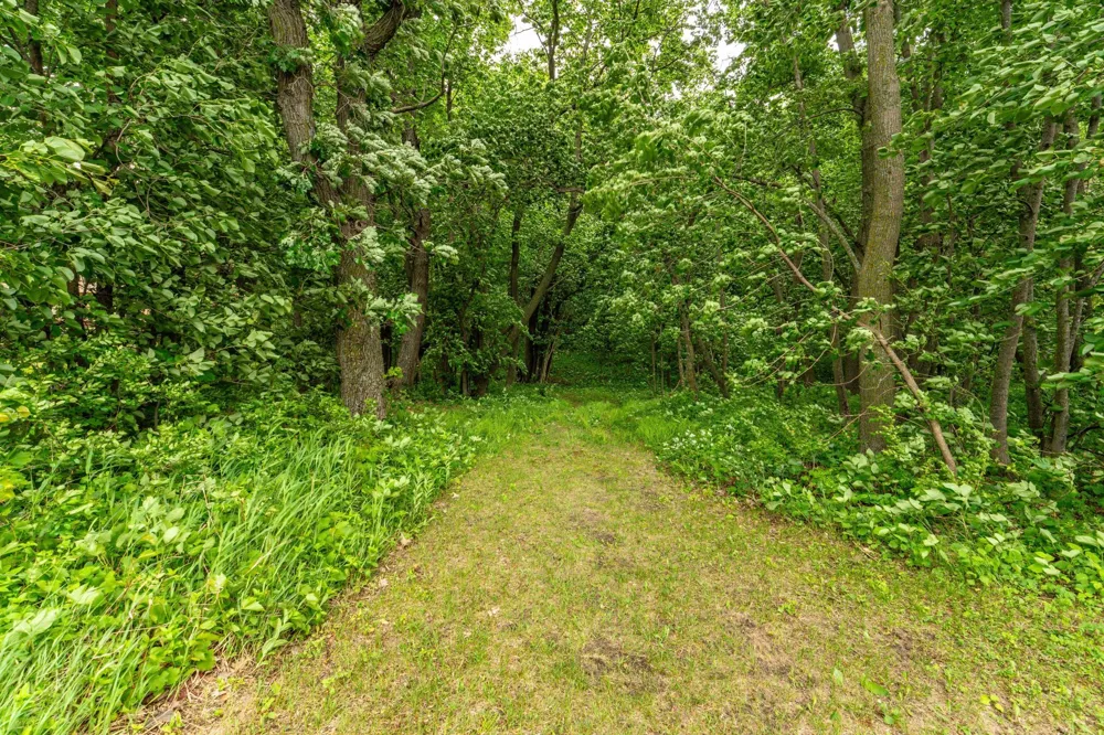 28647 State Highway 78 Battle Lake, MN 56515