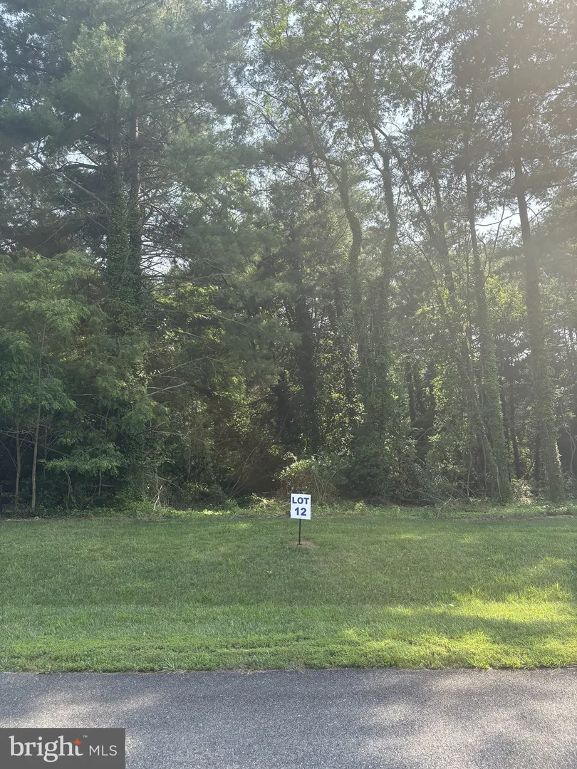 12 WILSON POINT ROAD Galena, MD 21635