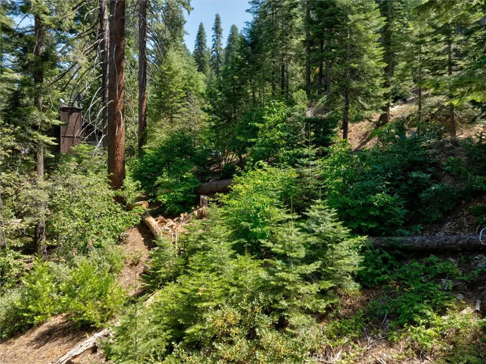 7419 Henness Ridge Road Yosemite, CA 95389