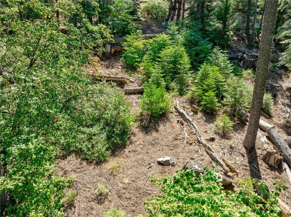 7419 Henness Ridge Road Yosemite, CA 95389